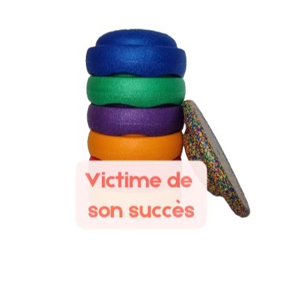 Lot de 6 pierres d'activité + balance board
